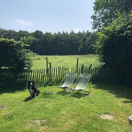 Hof Ter Sysen Villa Loppem Eksteriør bilde